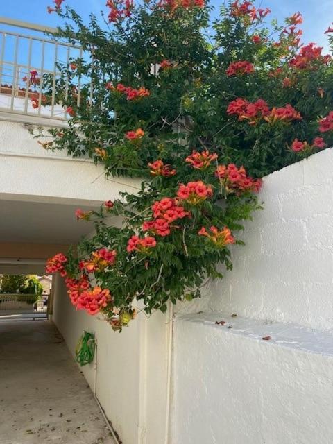 Spata Lykourgos Homes المظهر الخارجي الصورة