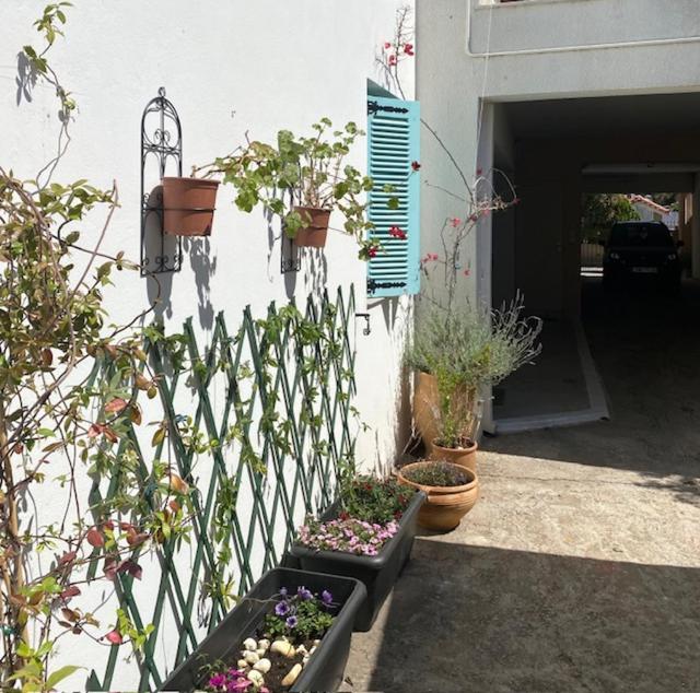 Spata Lykourgos Homes المظهر الخارجي الصورة